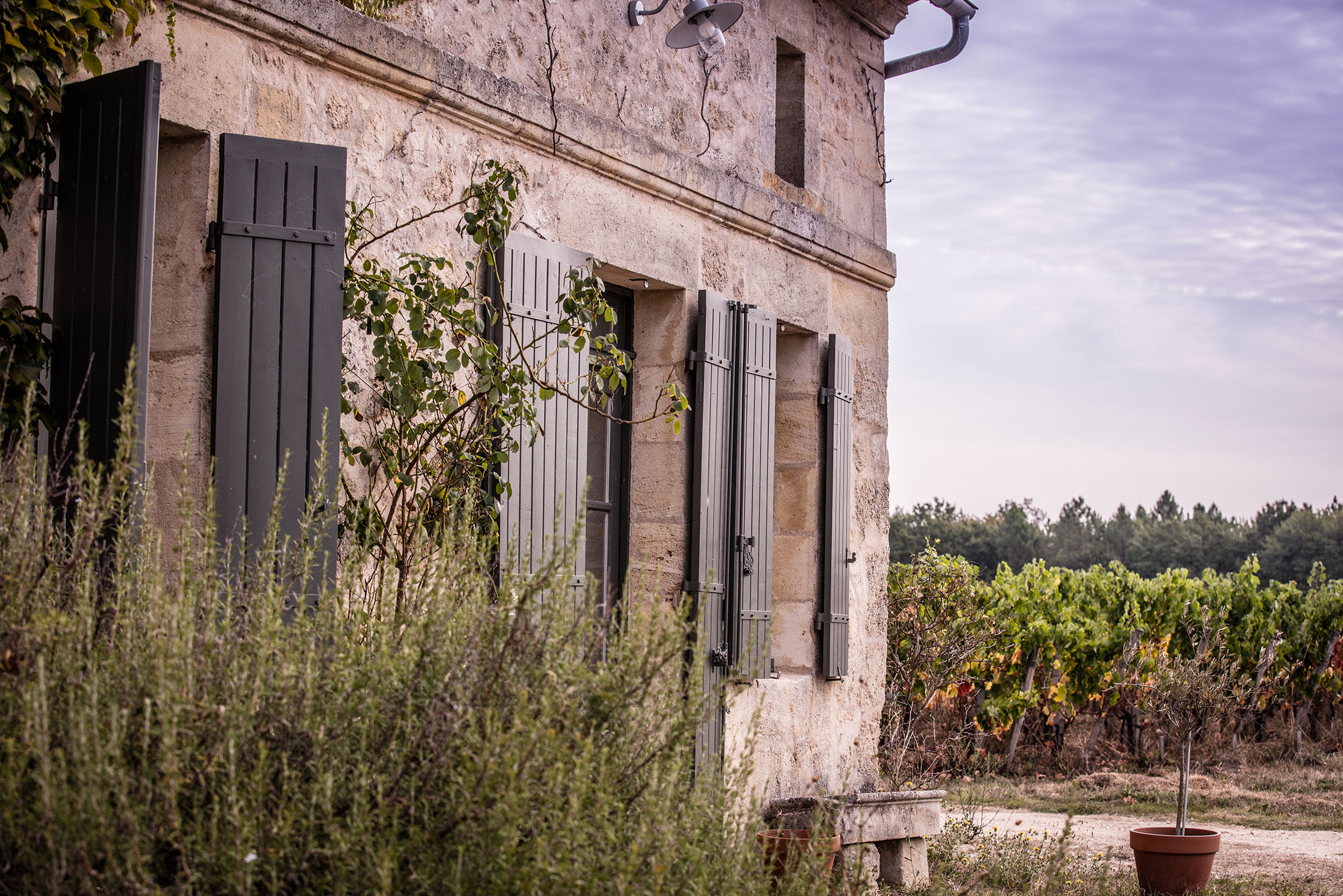 Maison Château Marsau